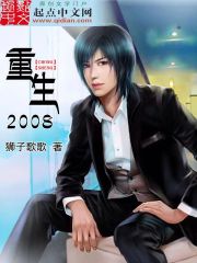 重生2008小說