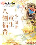 重生八側福晉小說