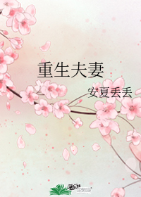 重生夫妻小說