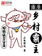 重生鄉村霸主小說