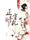 重生正室手札小說