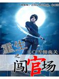 重生之闖官場小說