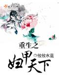 重生之婦甲天下小說