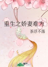 重生之嬌妻難爲小說