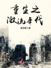 重生之激流年代小說