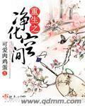 重生之淨化空間小說
