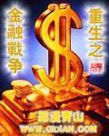 重生之金融戰爭小說