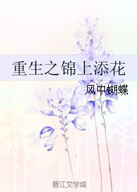 重生之錦上添花小說