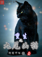 重生之九尾兇貓小說