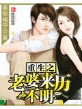 重生之老婆來歷不明小說