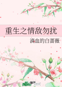 重生之情敵勿擾小說