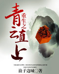 重生之青雲直上小說