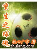 重生之球魂小說