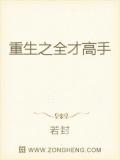重生之全才高手小說