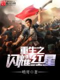 重生之閃耀紅星小說