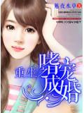 重生之嗜寵成婚小說