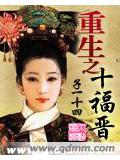 重生之十福晉小說