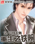 重生之鐵腕小說