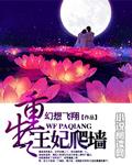 重生之王妃爬牆小說