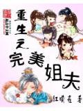 重生之完美姐夫小說