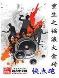 重生之搖滾大金磚小說