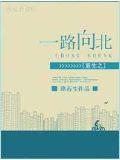 重生之一路向北小說