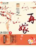 重生之再嫁小說