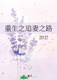 重生之追妻之路小說