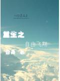 重生之自由飛翔小說