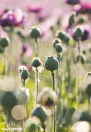 逐愛逐愛逐愛小說