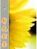 轉世重生之吳三桂傳奇小說