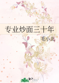 專業炒麪三十年小說
