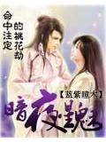 註定的桃花劫之暗夜星魅小說