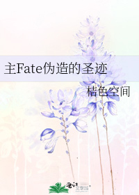 主Fate僞造的聖蹟小說