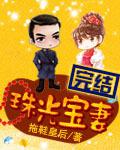 珠光寶妻【完結】小說