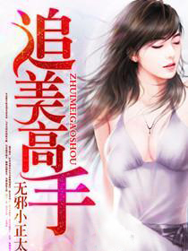 追美高手小說