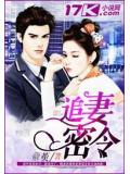 追妻密令小說