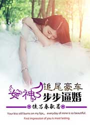 追尾豪車，女神步步逼婚！小說