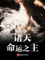 諸天命運之主小說