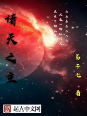 諸天之主小說