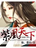 紫凰天下小說