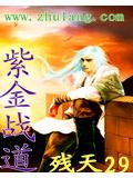紫金戰道小說