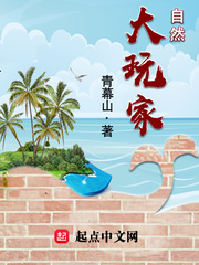 自然大玩家小說