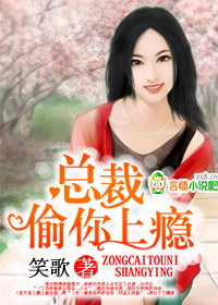 總裁,愛上癮小說