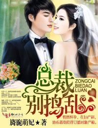 總裁,別搗亂小說