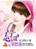 總裁，別想逃小說