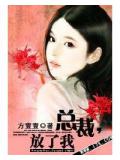 總裁,放了我!小說