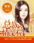 總裁,情深不淺小說