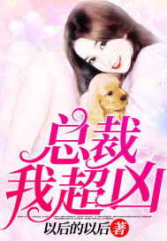 總裁，我超兇小說