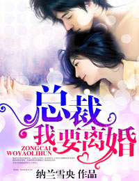 總裁,我要離婚小說